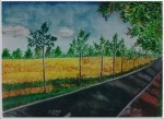 Mustard Field Landscape